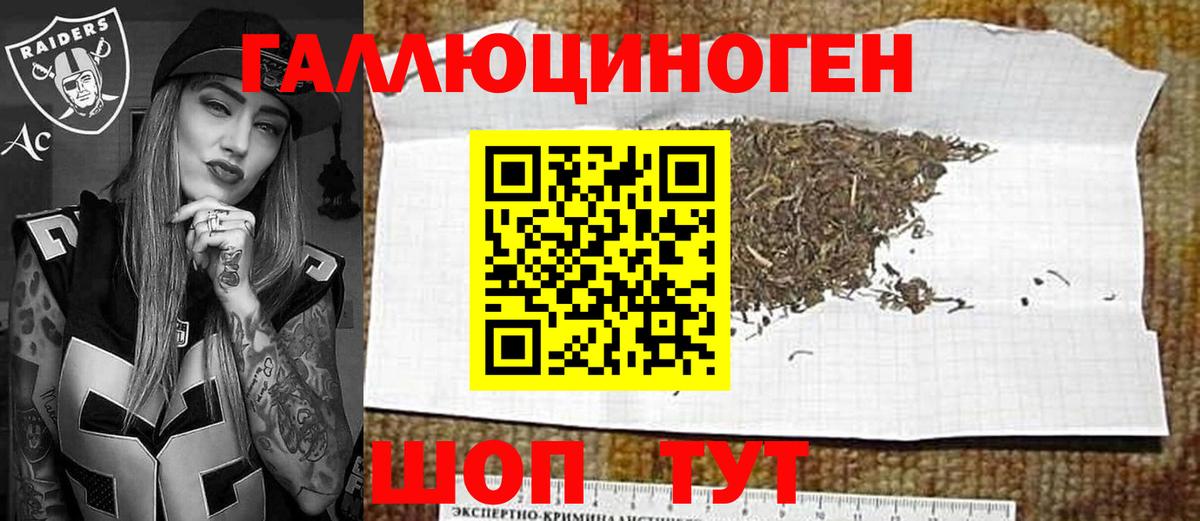 Псилоцибиновые грибы мицелий Комсомольск-на-Амуре