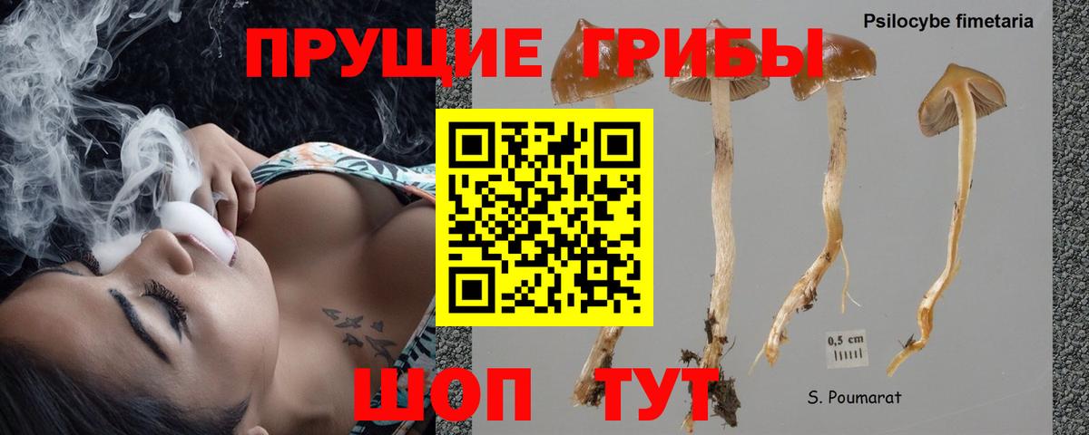 Псилоцибиновые грибы прущие грибы  Вход с VPN  Комсомольск-на-Амуре 